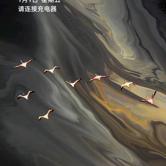 一生有你