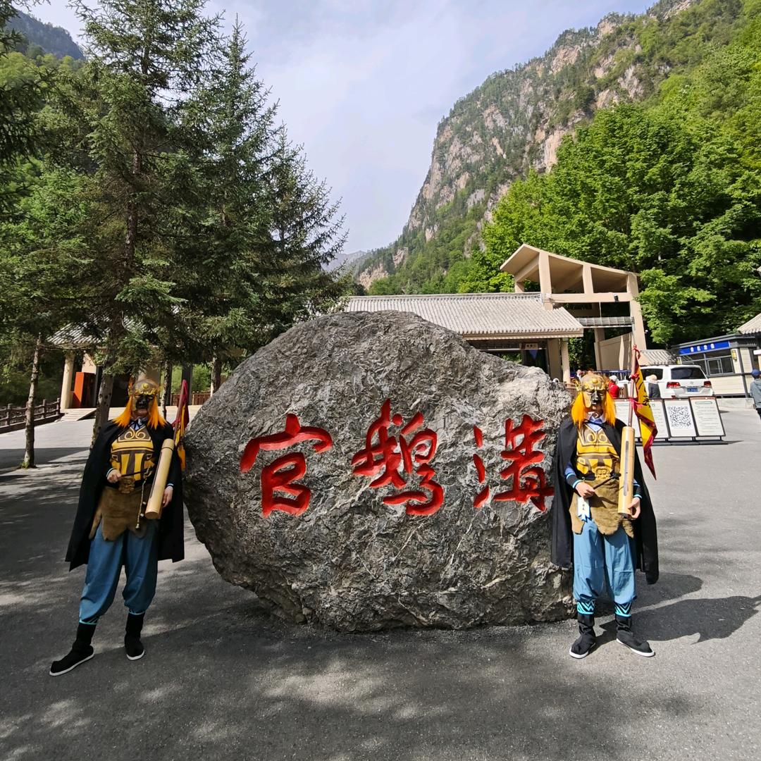 官鹅沟小钻风巡山