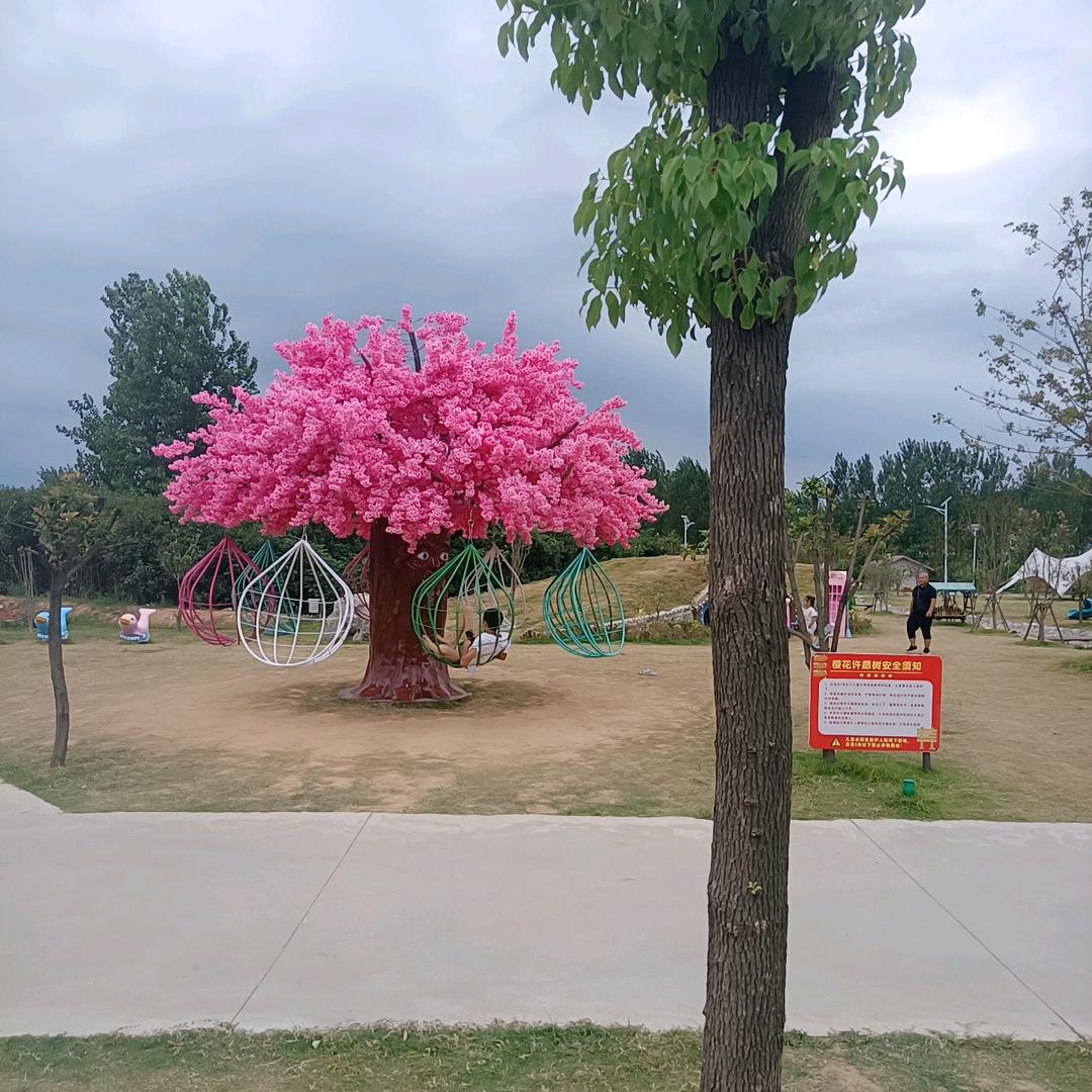 🌠🎑采🌇云☁️@（拒绝连续点赞