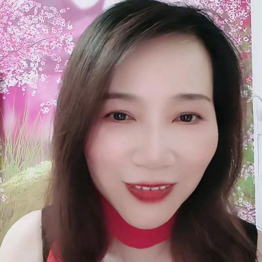 会说话的小笨猪