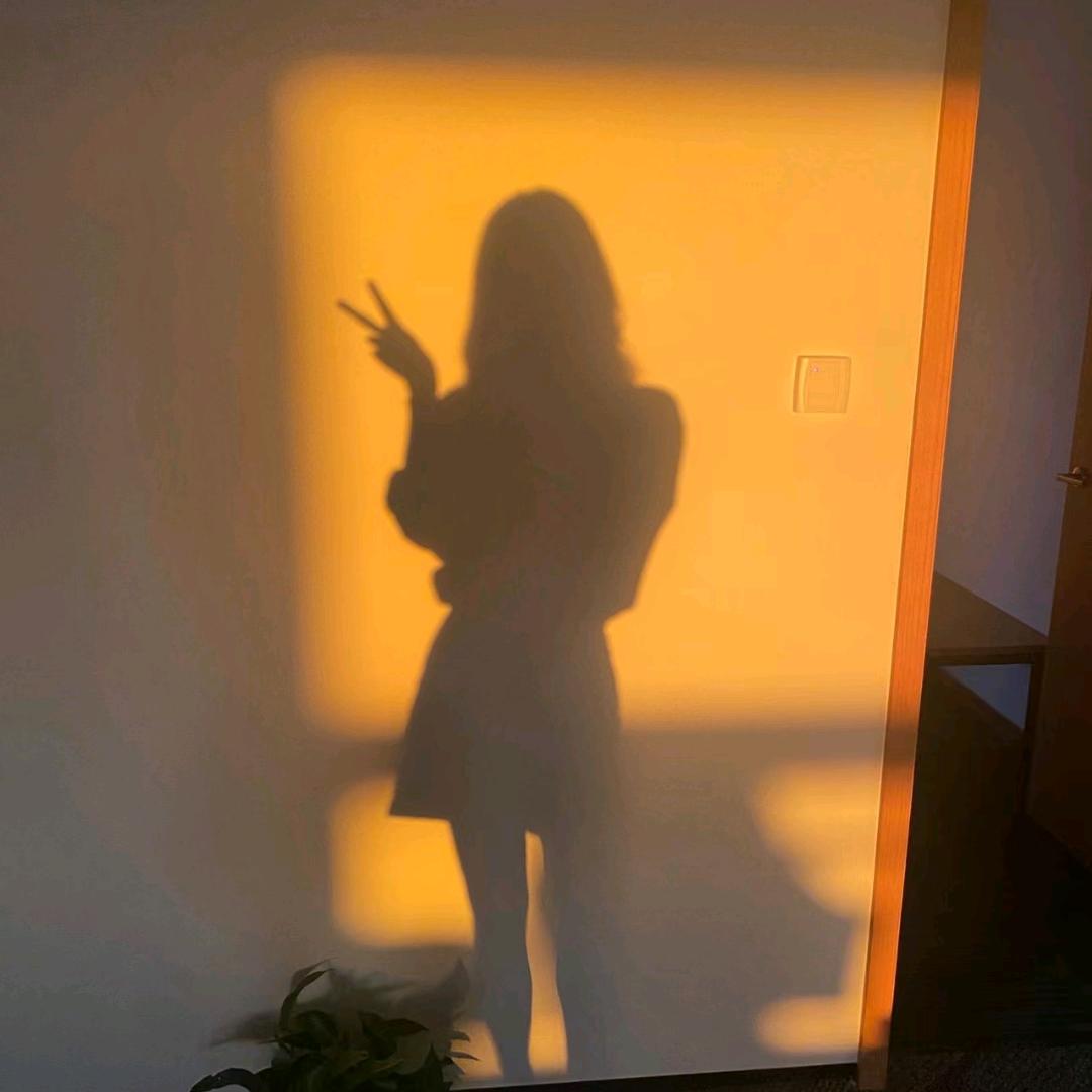🦋清风徐来