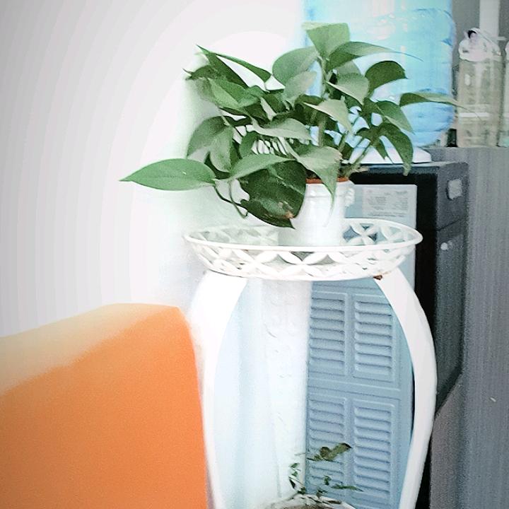囡囡