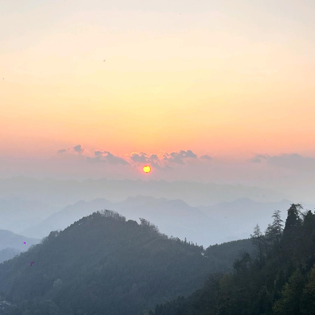 🌈黄大大大鱼🌈