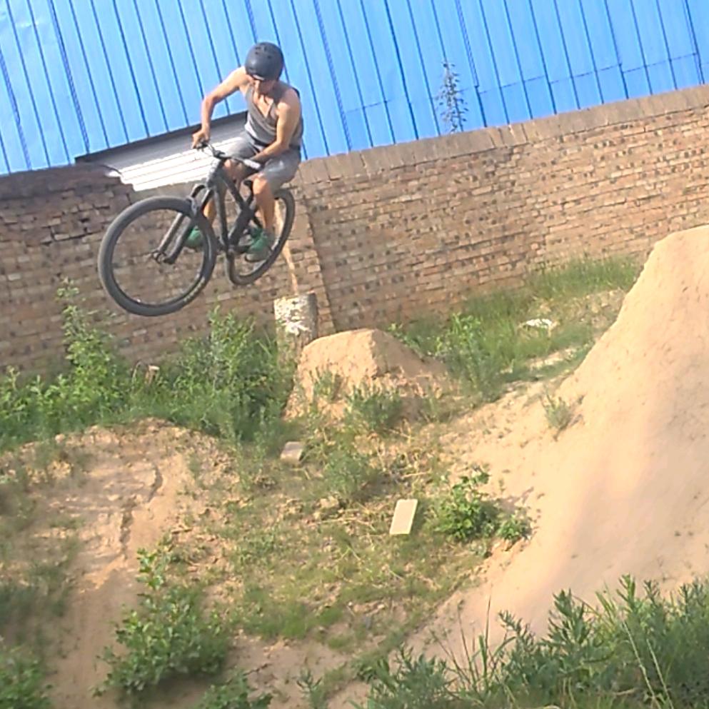T教练