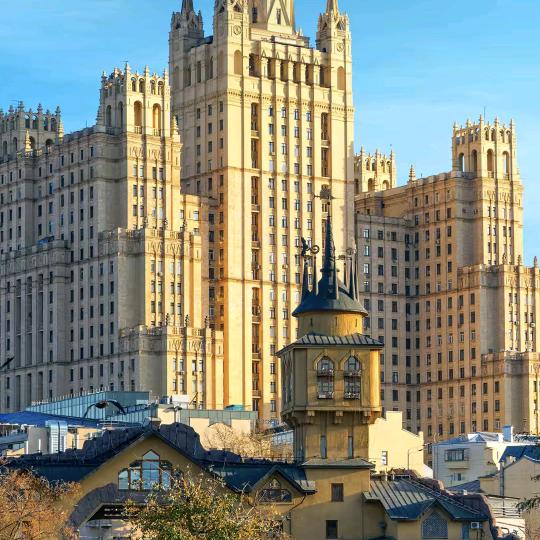 柔光下森林的奇遇。