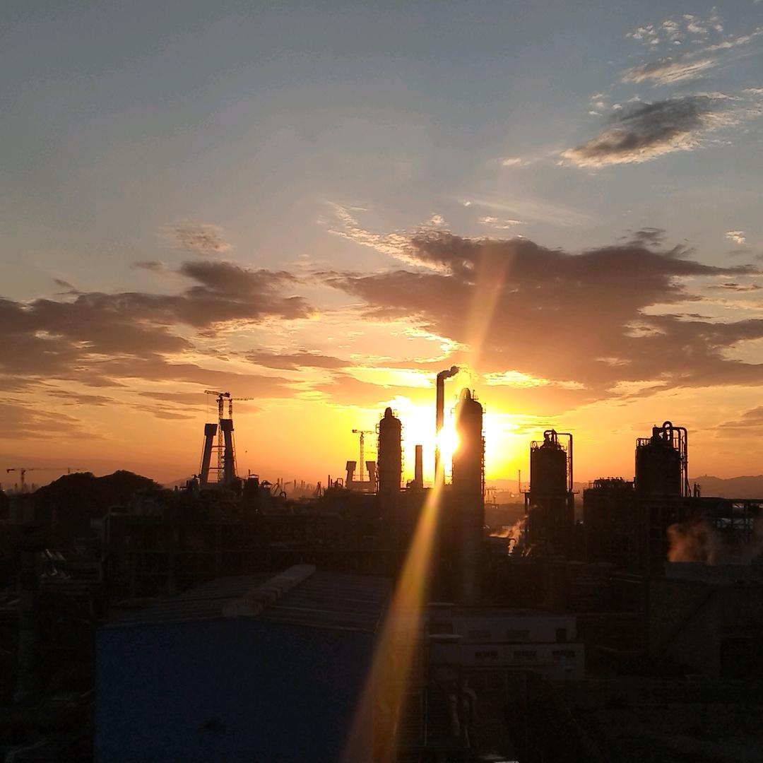 出了个新词，大龄老斑鸠