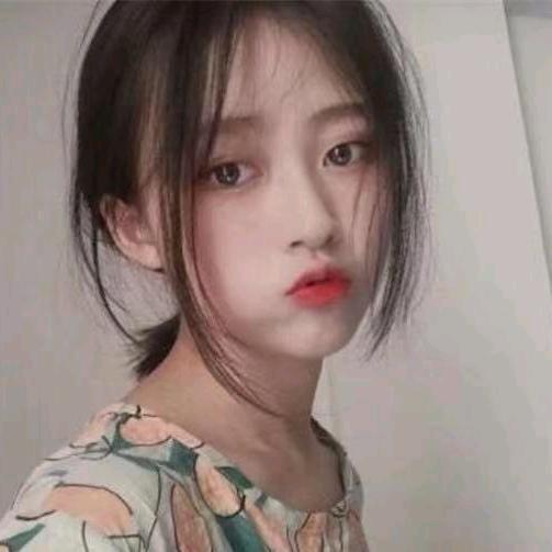 飞蛾