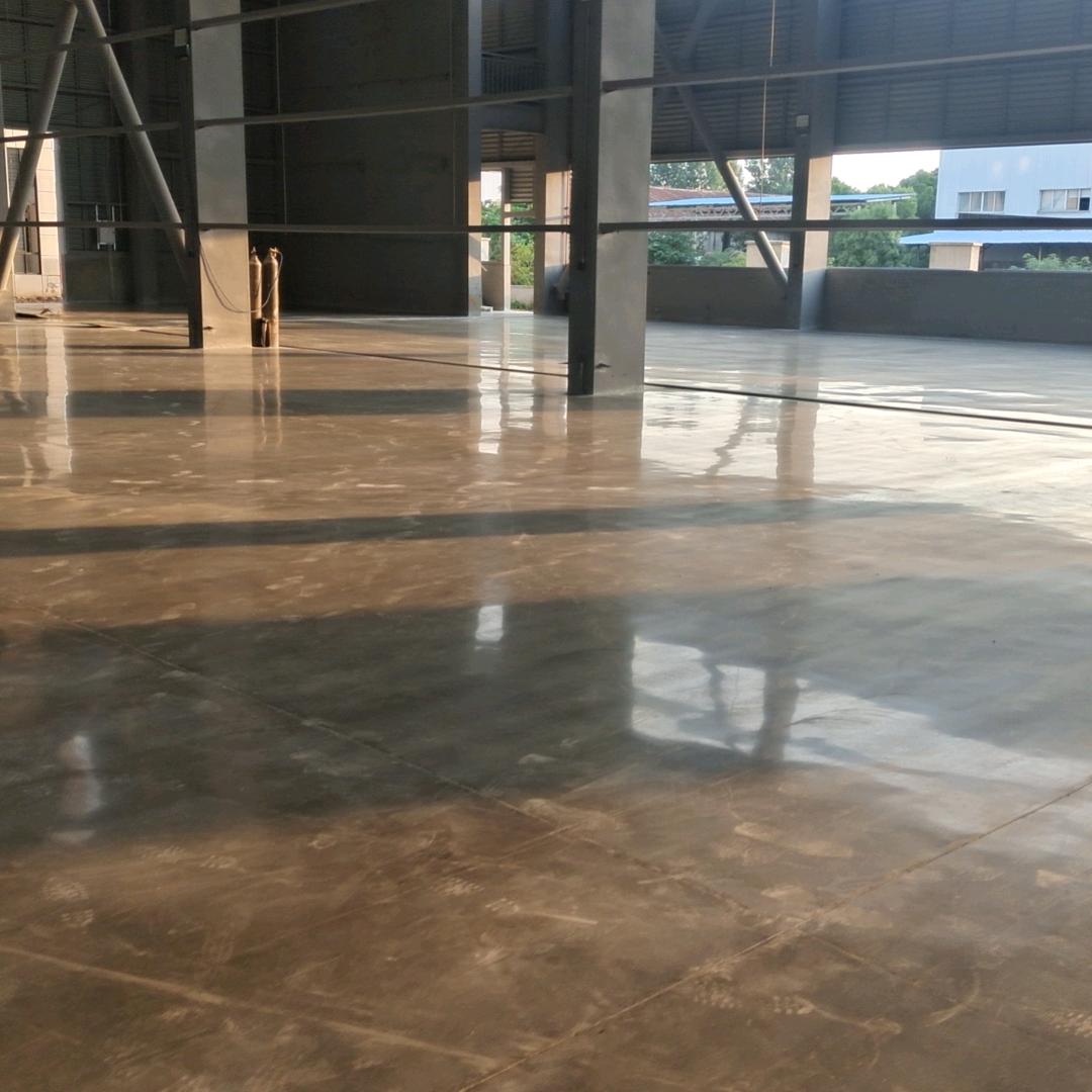 林中小白