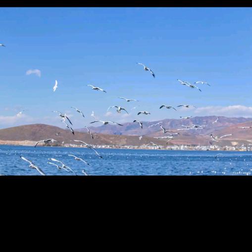 下一个路口100%等你