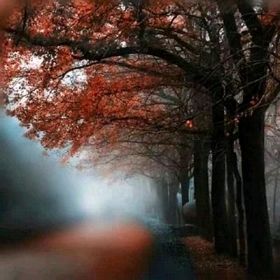 佳音（五汛手机快修）