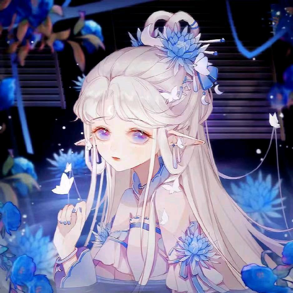 小花猫与大黑熊