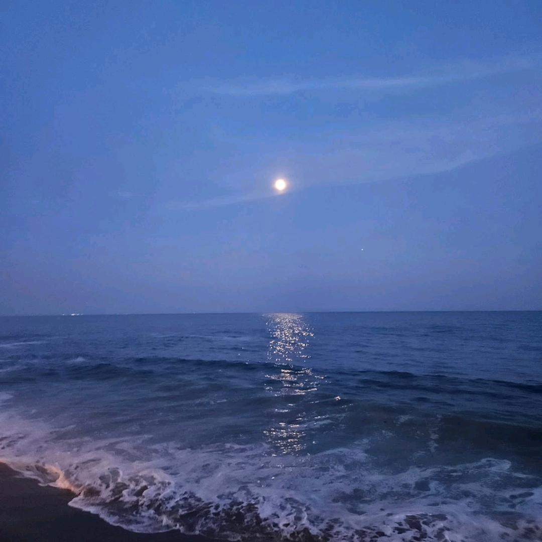 ✨️再吃一口好吗