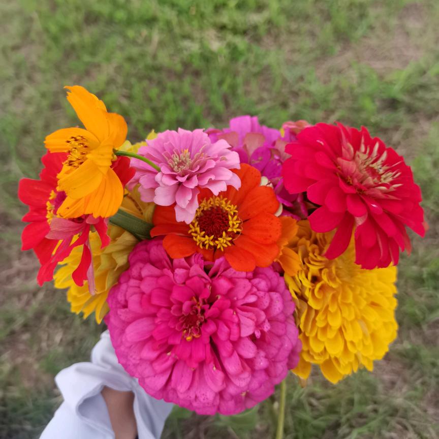 等着等着就成长了！