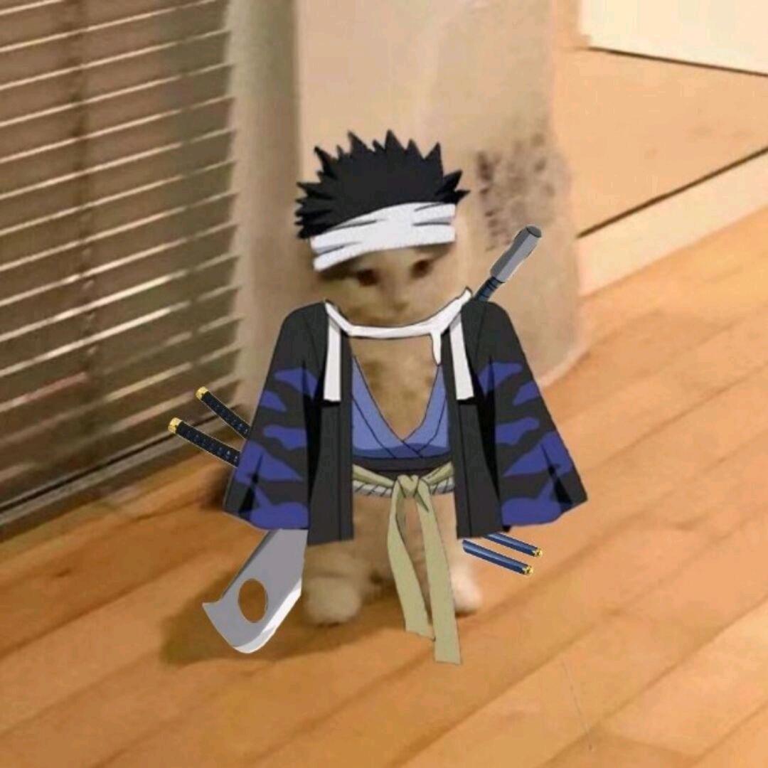 布丁🧋