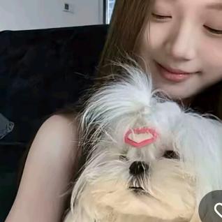 化州说媒小婷婷