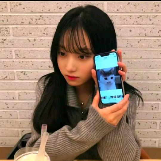 春风十里