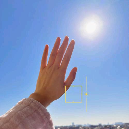 何☘️乐🌿而🌾不🪷为