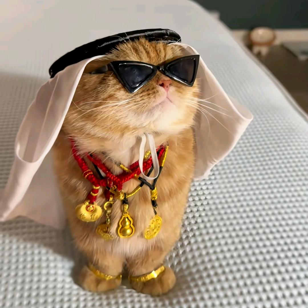 🏝五福哥哥