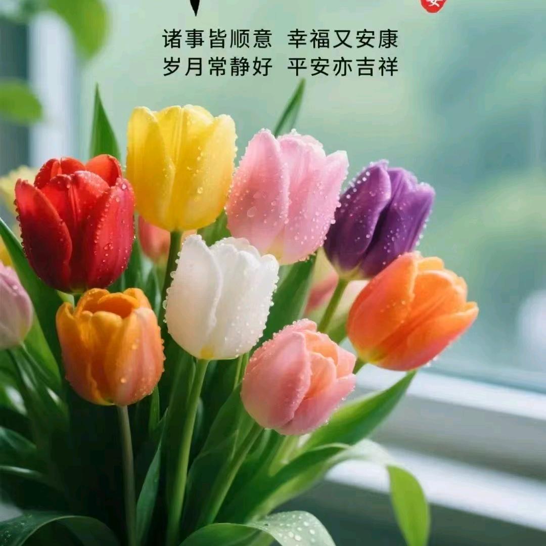 欢乐无忧