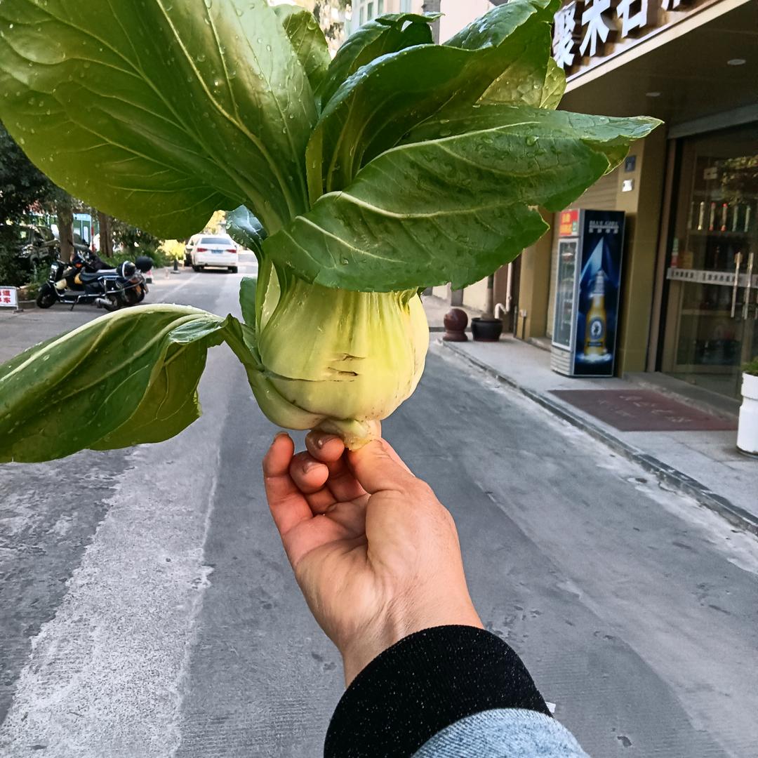 美好🌺时光🌷