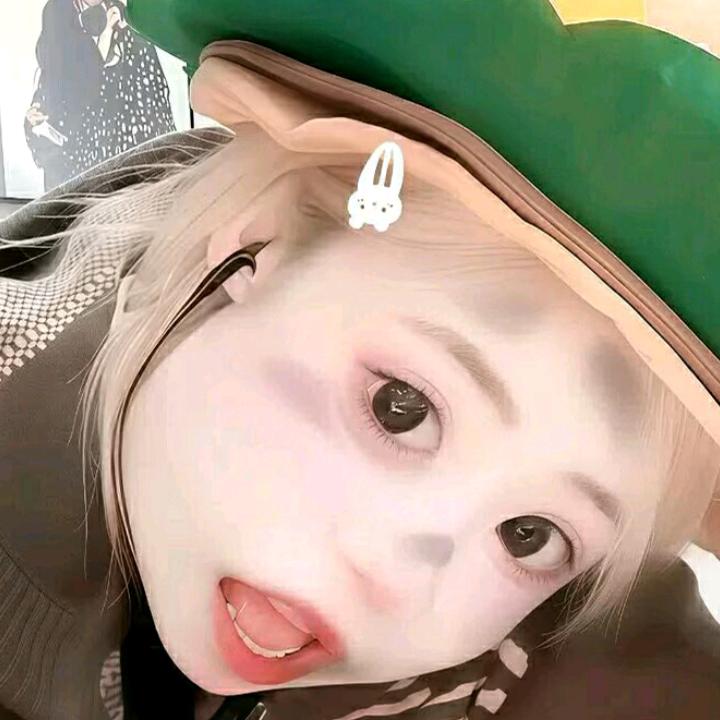 柠檬茴香🍋