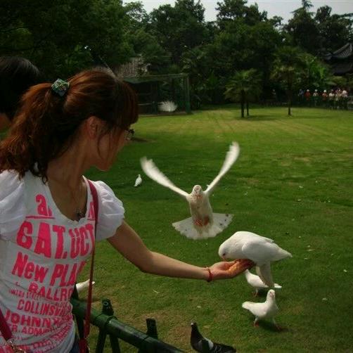 ✨ ᭄ཽ࿆月白 玉  ꧔ꦿ