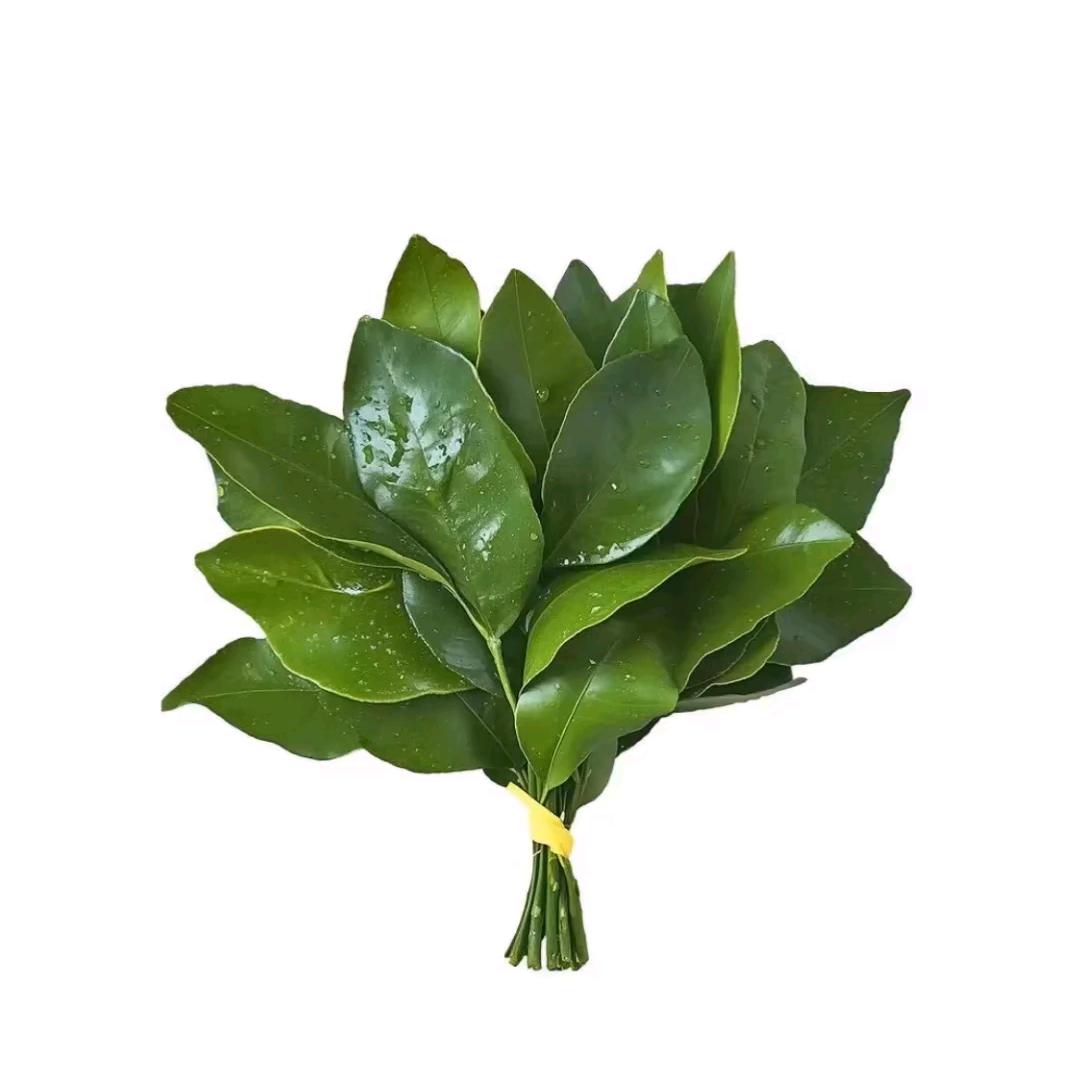 @_9