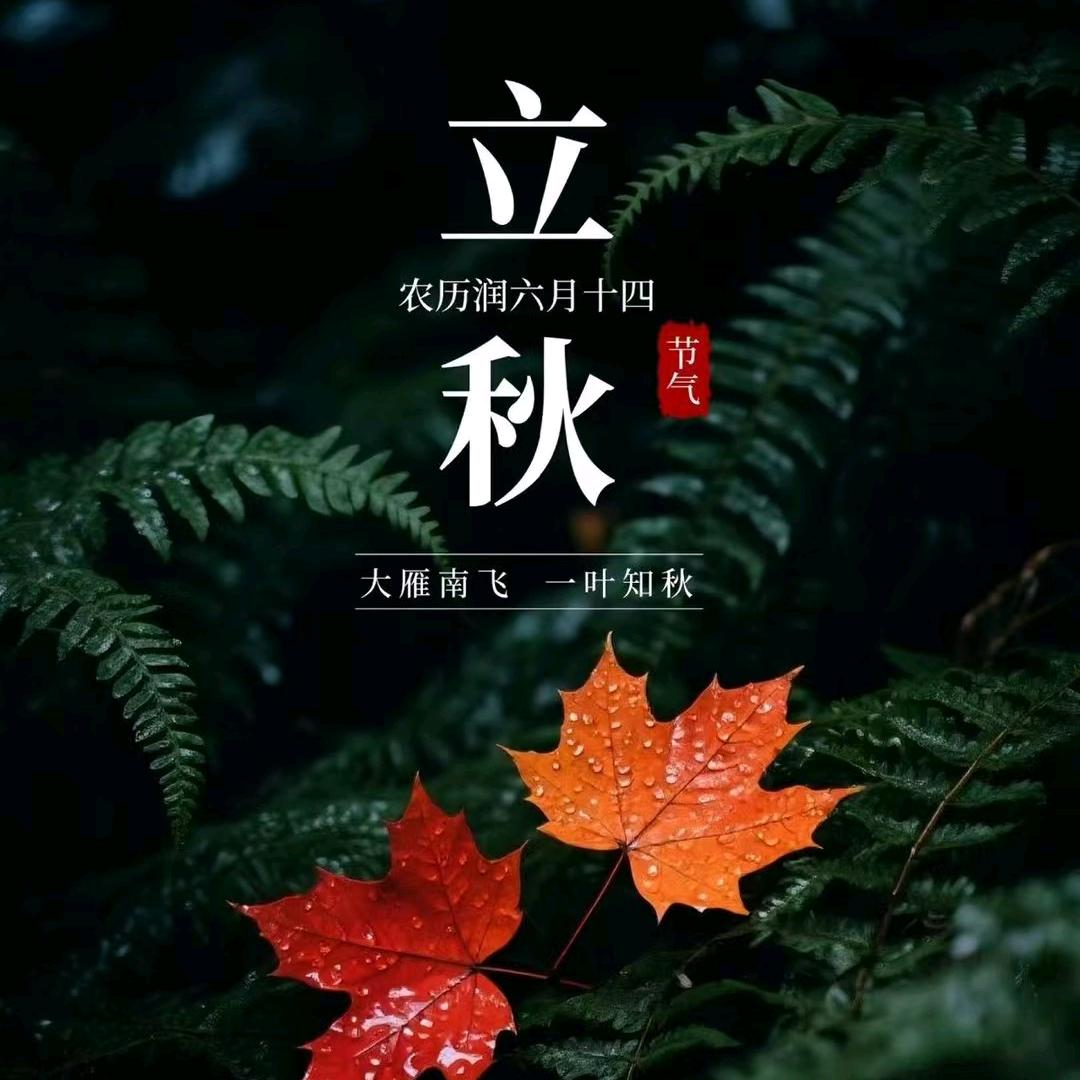 昆哥