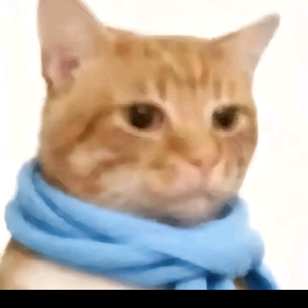 小新不辞小让🌈