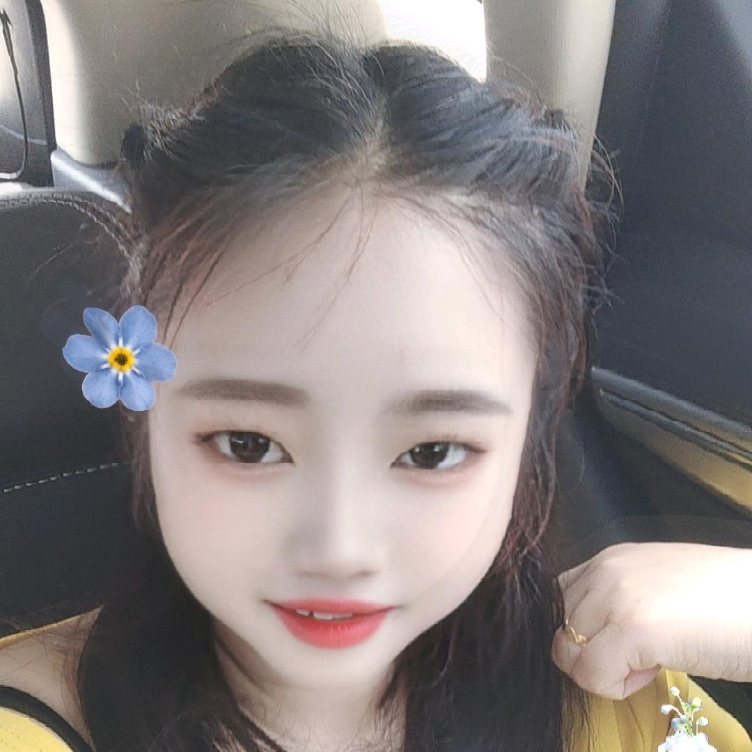 鱼的记忆