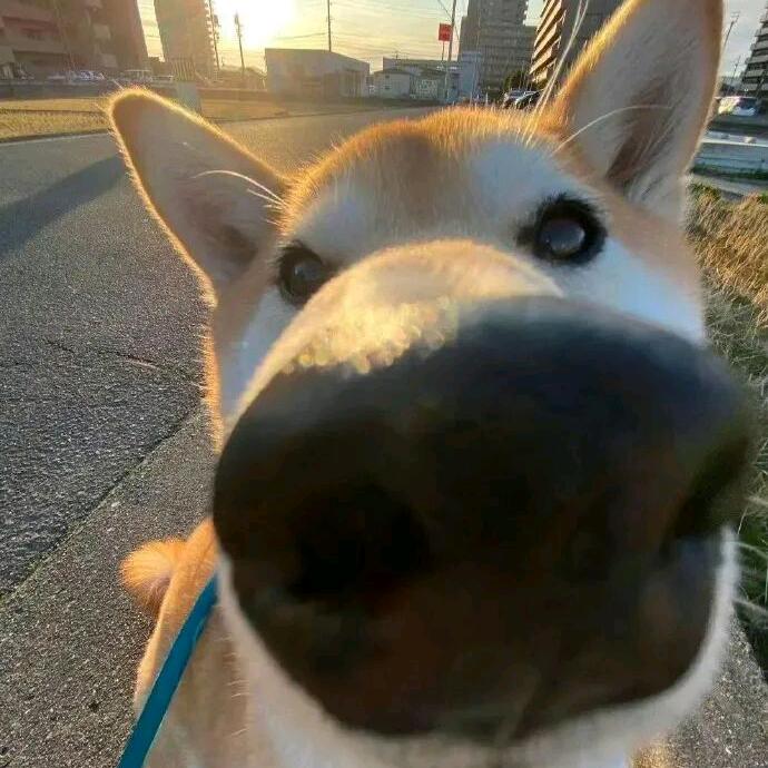 小豆芽の🚶🏂