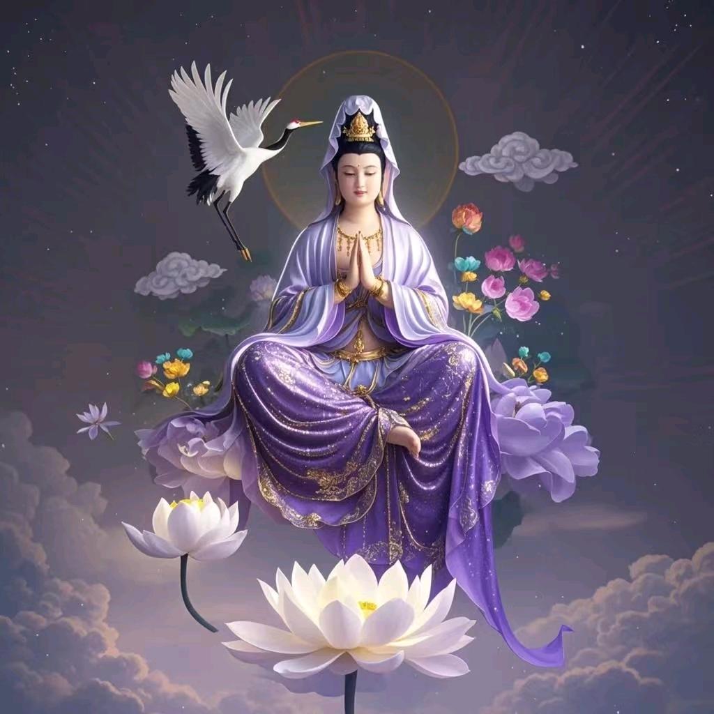 🍎鑫鑫向荣🍎