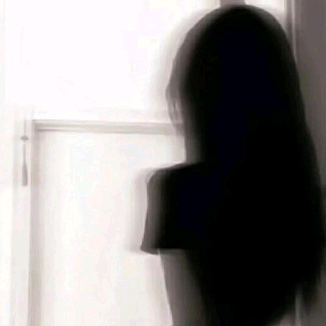 幸福小猫