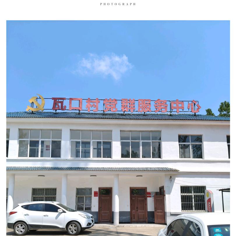 小杨会计