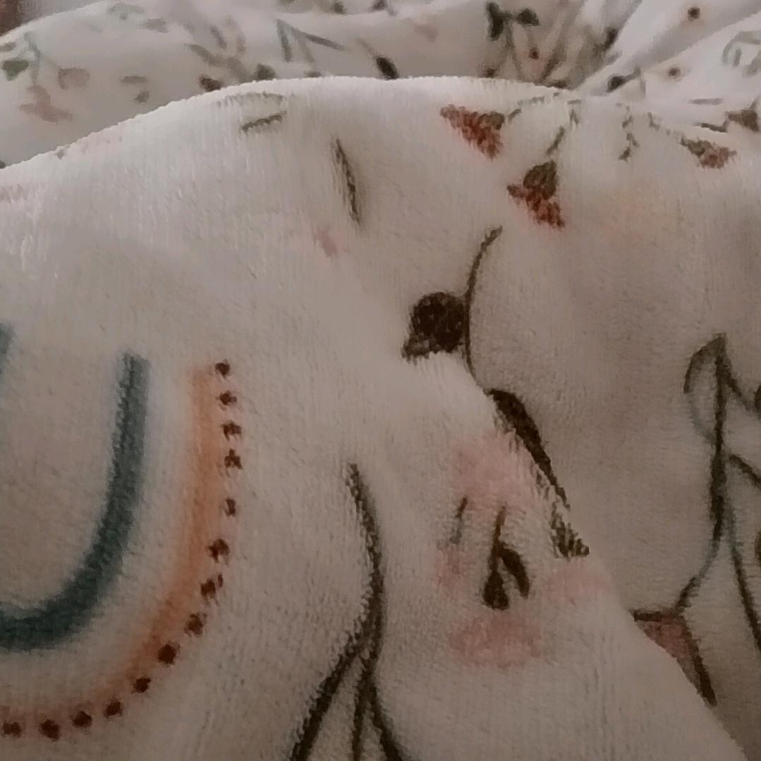 🐉🐉