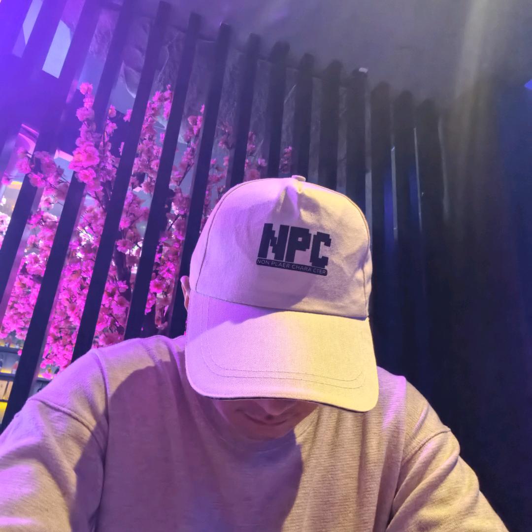 一个NPC