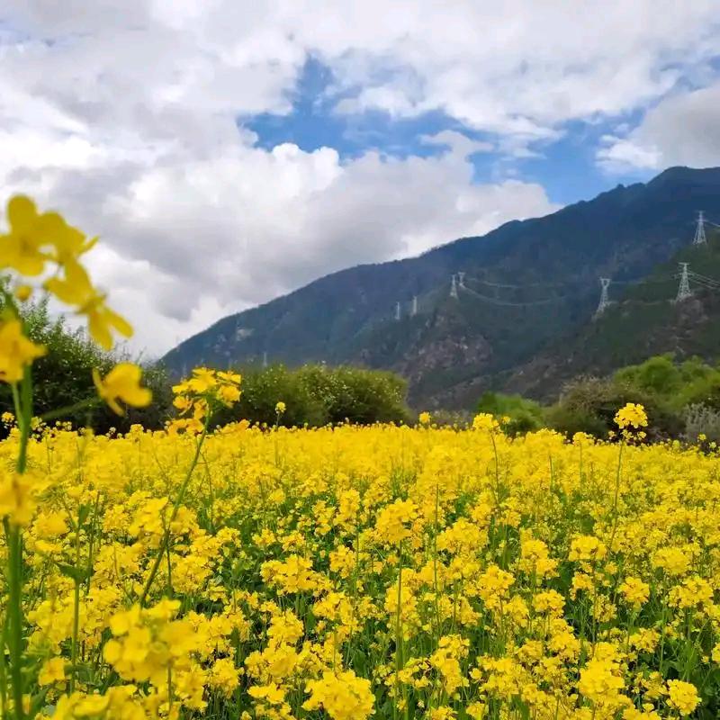 成墙根下百货店
