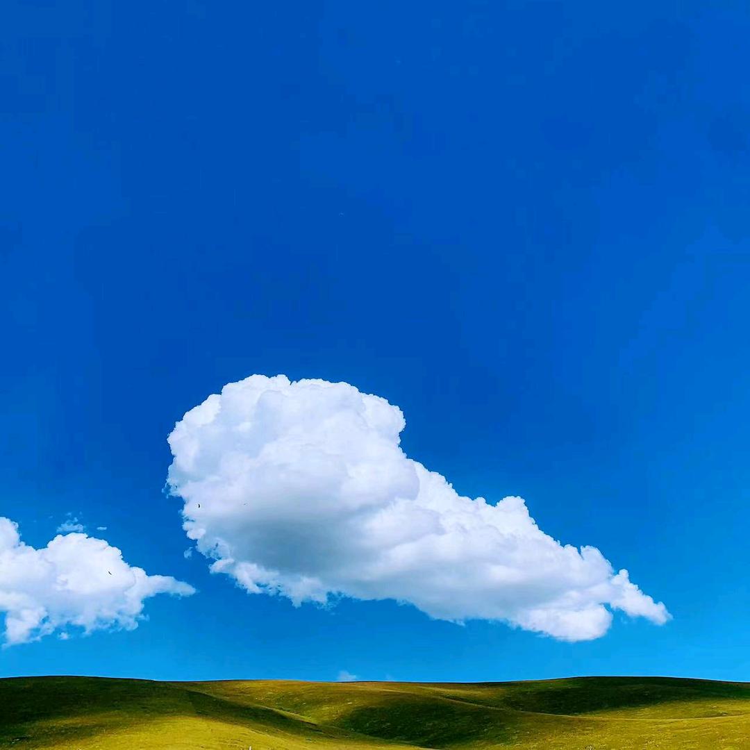 喵糖