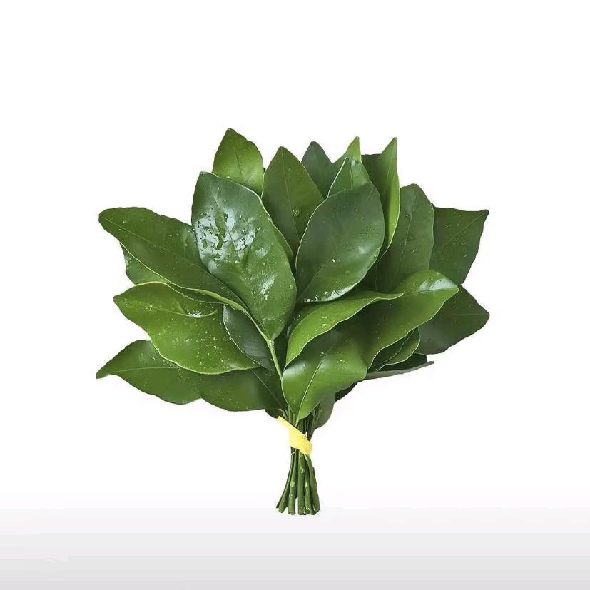 Piwrik