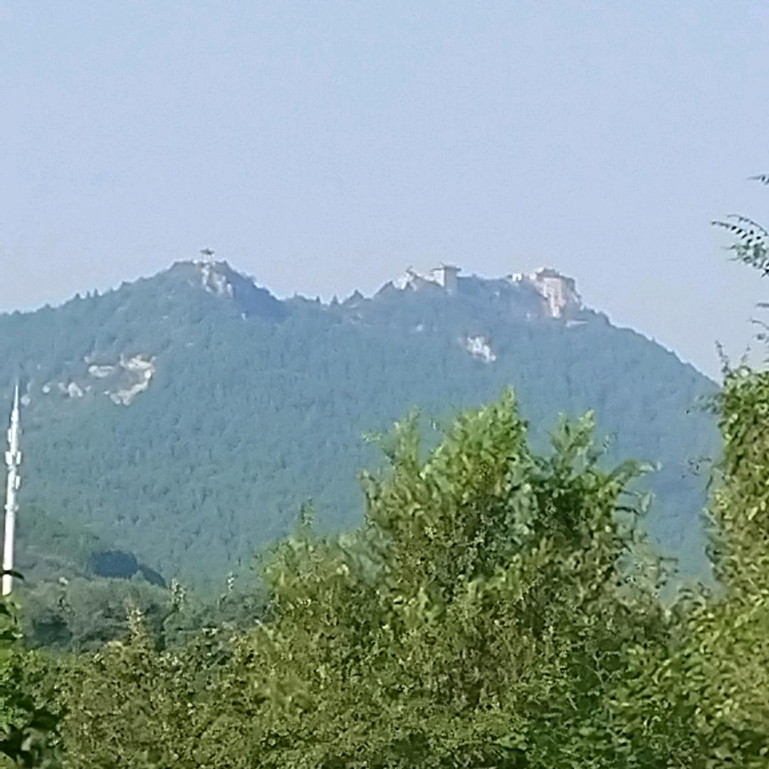 安心种地（活着）