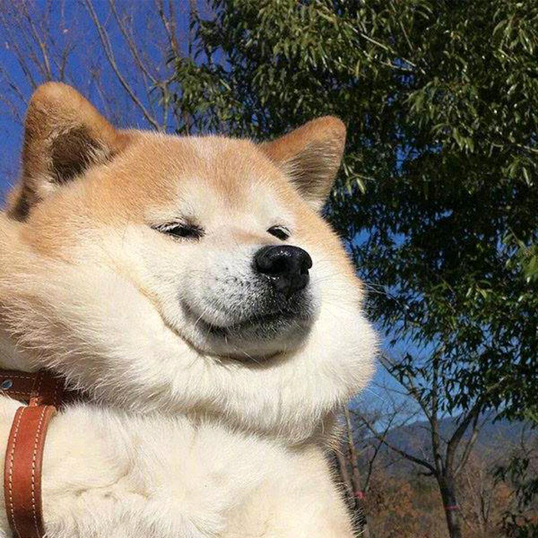 心止水映瓶
