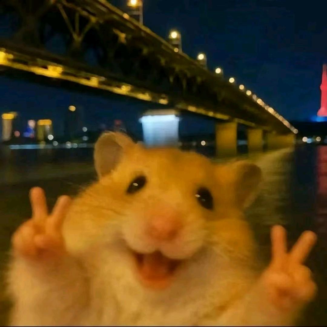 或许
