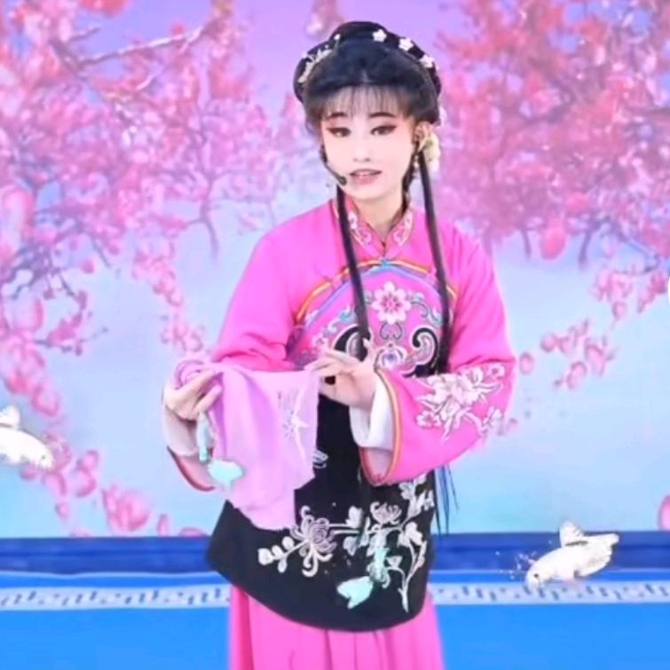 🧚‍♂️黄梅戏爱好者🧚‍