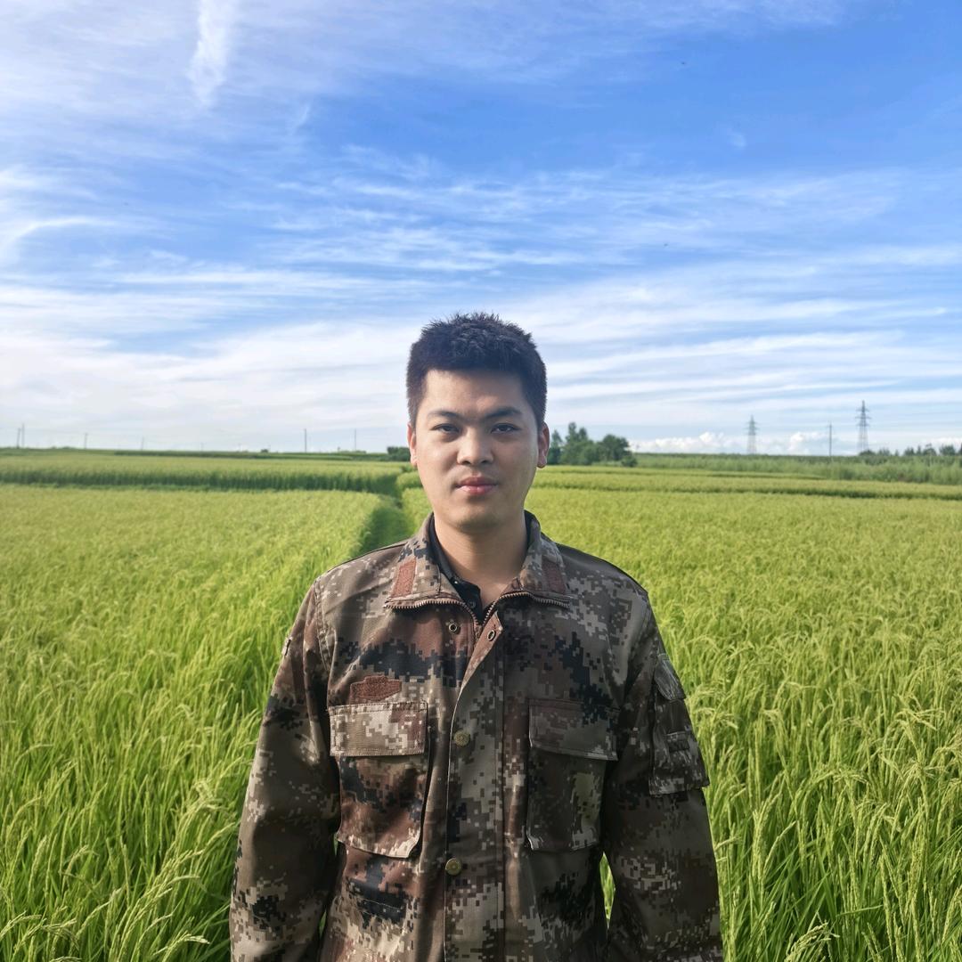 五常大米李小虎