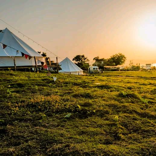 ͏ ͏͏ ͏阿林