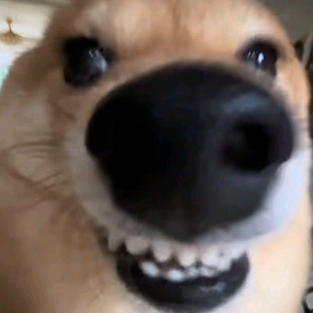 晴天稻香没有龙卷风