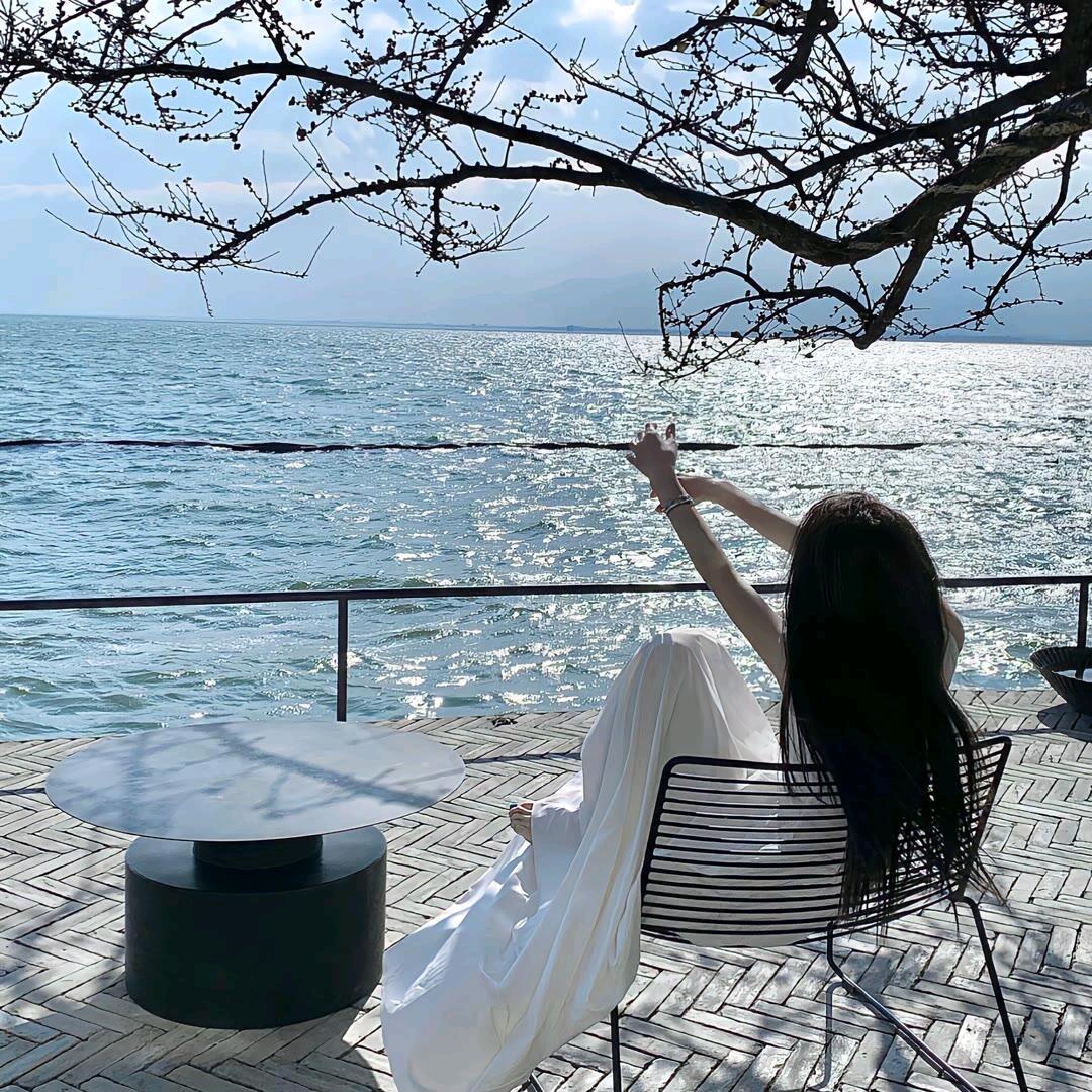 车厘子🍒