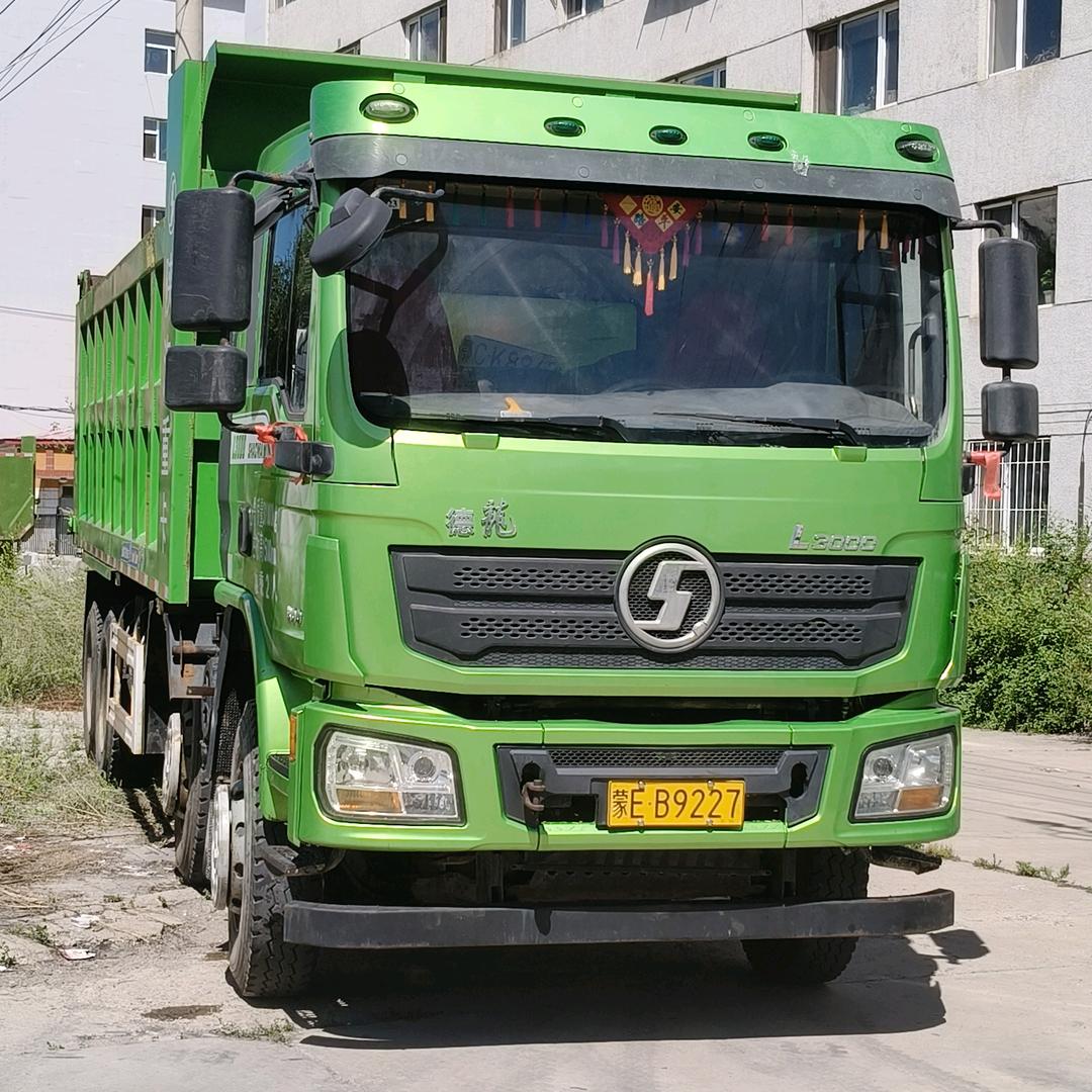 呼伦贝尔雄鹰飞翔