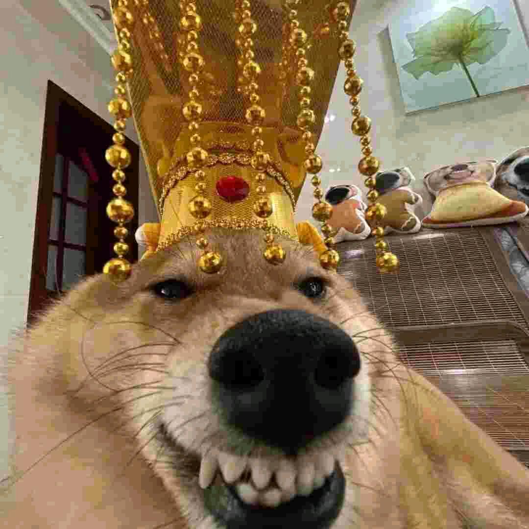 泡泡O_o