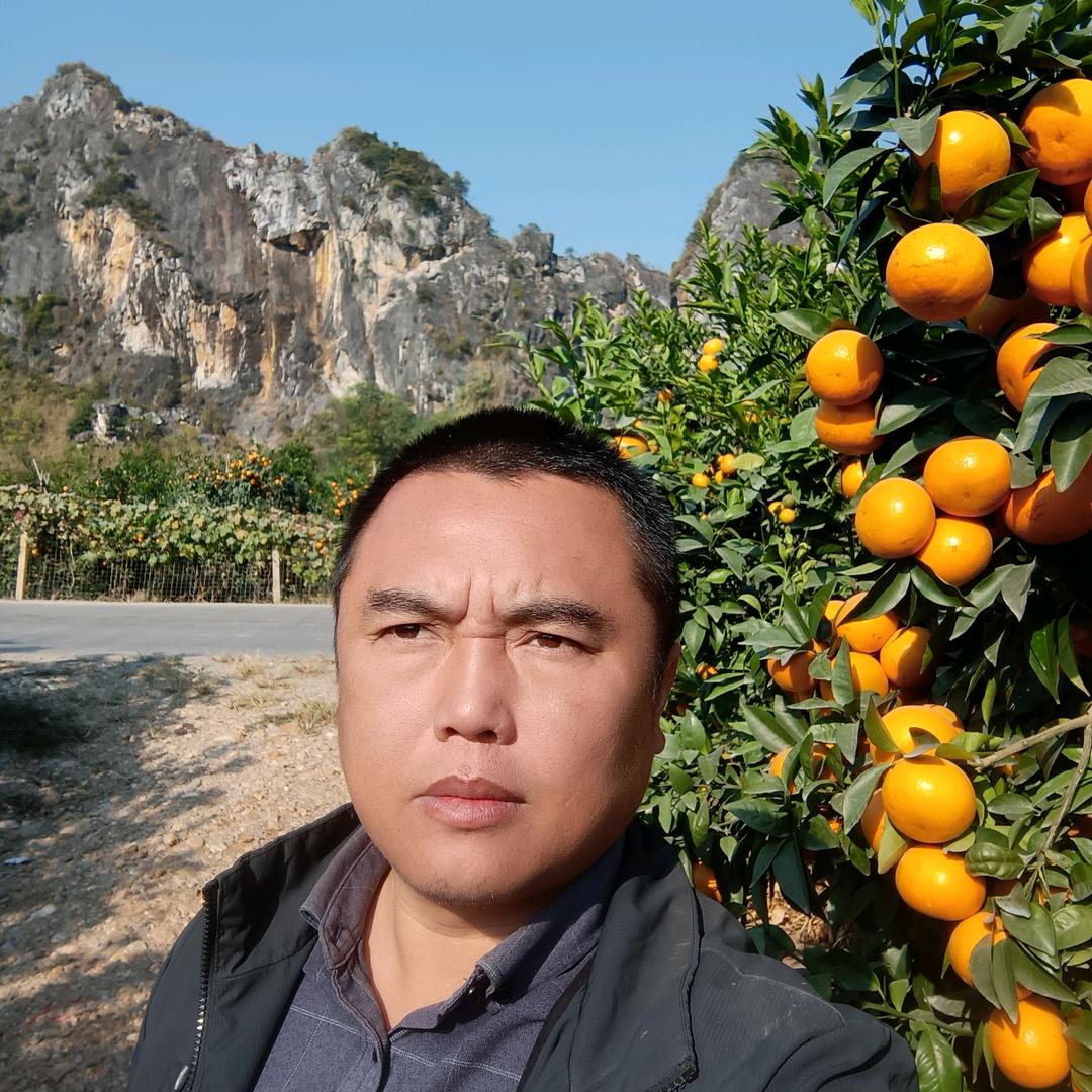 志航果业